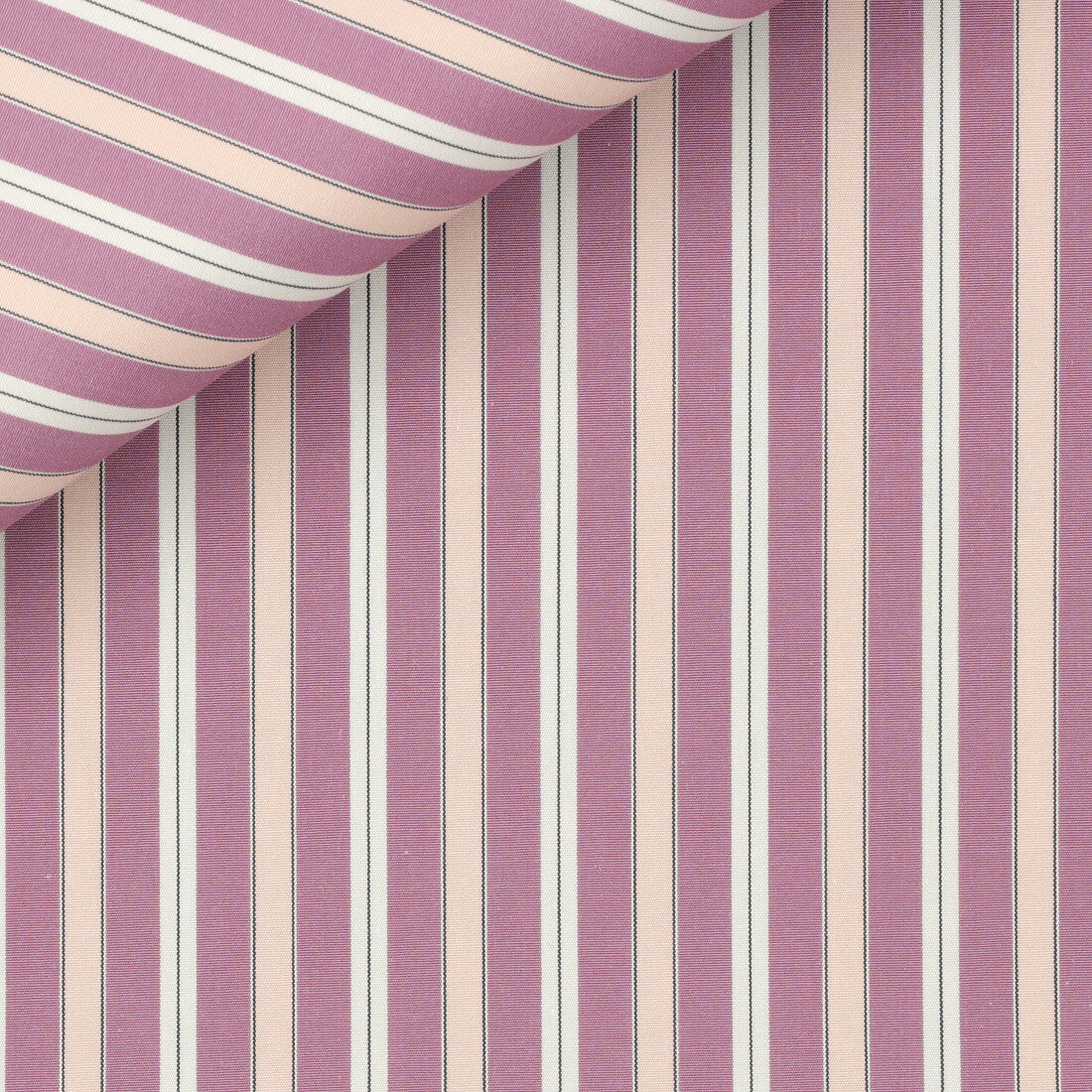 The SHORTY Shirt, Egyptian Cotton